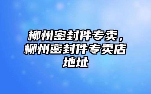 柳州密封件專賣，柳州密封件專賣店地址