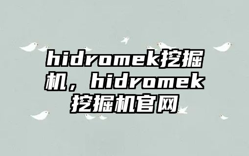 hidromek挖掘機(jī)，hidromek挖掘機(jī)官網(wǎng)